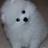 Petch9963's profile image