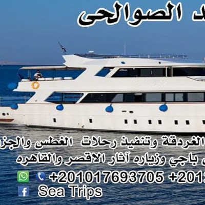 Alyasmintrvel's profile picture. شركة الياسمين ترافيل للرحلات بالغردقه تقدم أفضل العروض وأقل الاسعار لرحلات الغردقه وسفارى البحر الاحمر وحجز شاليهات للايجار باليوم وايضا تأجير الحصان وأكوا بارك