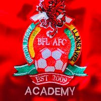 Briton Ferry Llansawel Academy(@bflacademy) 's Twitter Profile Photo