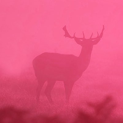 Everybo8's profile picture. A