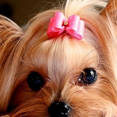 sujanisubani's profile picture. ''The happiness of your life 
depends on the quality of your thoughts''