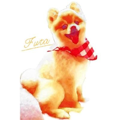 ポメラニアンのふうたくんさんのプロフィール画像