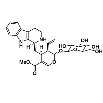 天然物創薬化学研究室(Ishikawa Group, Chiba Univ