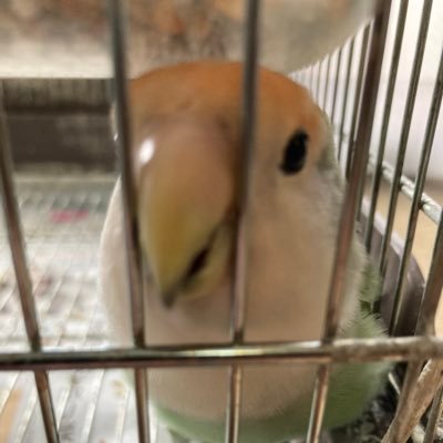 terry84102826's profile picture. silkscreen inkjet