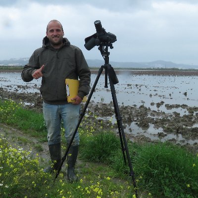 PhD student working on wader spatial ecology