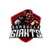 Dambulla Giants (@DambullaGiants) Twitter profile photo