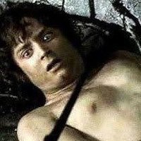 frodo's jolly nipples 🎄(@iseeeeya_) 's Twitter Profile Photo