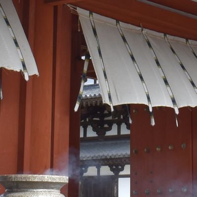 picopipipicopi's profile picture. 猫ツイにいいねばかりしています。