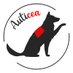 Association AUTICEA (@auticea) Twitter profile photo Association AUTICEA (@auticea) Twitter profile photo