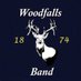 Woodfalls Band (@woodfalls) Twitter profile photo