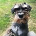 Janet McCulloch #FBPPR ๐ช๐บ๐บ๐ฆ๐ฌ๐ง๐ท๐๐ฆ (@janetmcculloch) Twitter profile photo Janet McCulloch #FBPPR ๐ช๐บ๐บ๐ฆ๐ฌ๐ง๐ท๐๐ฆ (@janetmcculloch) Twitter profile photo