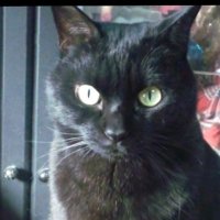 Mac_row_K (@macrowk22394104) 's Twitter Profile Photo Mac_row_K (@macrowk22394104) 's Twitter Profile Photo