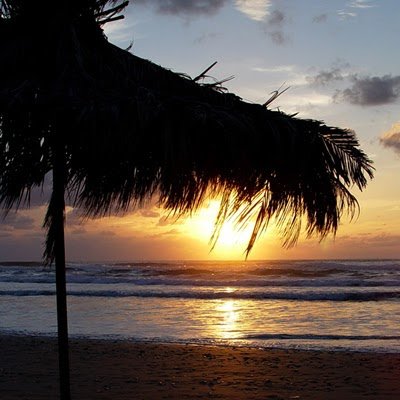 Yossilevi91's profile picture. 