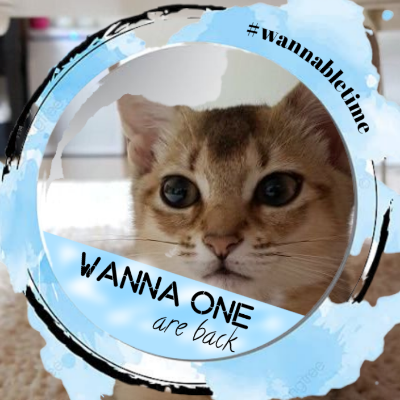 Sedikit nge-tweet banyak retweet
||• I tweet what I want • nyambi also hunter acc •