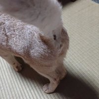 キモ夛 (@kimo_ota_debu) 's Twitter Profile