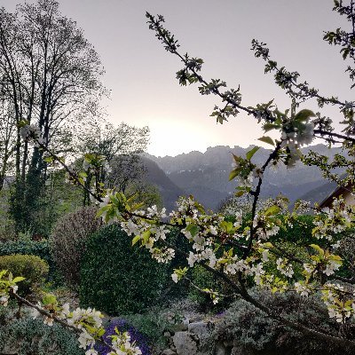 citoyenMonde380's profile picture. 