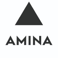 Amina. Immersive sound at it's very best. (@amina_speakers) 's Twitter Profile