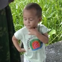Muhammad Fitrah (@muhamma95370282) 's Twitter Profile
