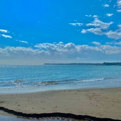 SHOU_O24's profile picture. F1🏁