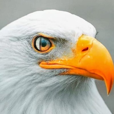 fderflingher's profile picture. Socio fundador de Pi Group H INC. heredero de una gran tradición mexicana empresa familiar de más de 186 años luchador social,