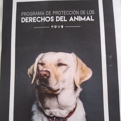 Adoro los animales 🐶🐵🐎🐩 adopta,rescata no compres! ayudemos a los sin voz😺😺 🤗 😀😻Gato💕💕