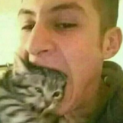 viva la vida
zeca pagodinho é bom
gato miau
eu vivo uma vida estranhaa