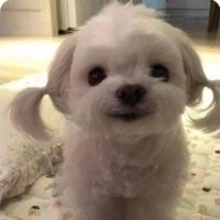 wmfdydks (@notnzy1) 's Twitter Profile