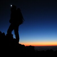 Julie Parod (@julyparody) 's Twitter Profile