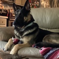 Meta Moore (@metamoo53907727) 's Twitter Profile