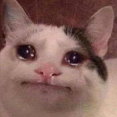 xxtinacion's profile picture. Professional raccoon trainer