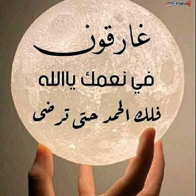 abwmhmw50600834's profile picture. 