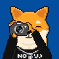 #ShibaShowcase (@shibashowcase) 's Twitter Profile Photo #ShibaShowcase (@shibashowcase) 's Twitter Profile Photo