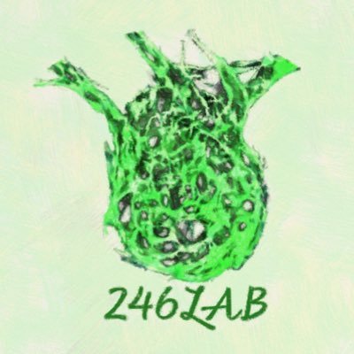 246LABさんのプロフィール画像