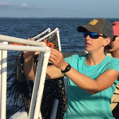 Site Director of VCR-LTER and UVA's Coastal Research Center.
Ecologist, ocean enthusiast, experiential education advocate. Focused on inclusion.
she/her