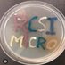 RCSI Clinical Microbiology (@RCSI_Micro) Twitter profile photo