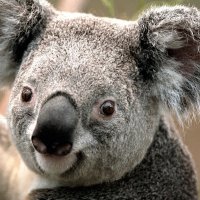 mike vargas (@mikevar90156511) 's Twitter Profile