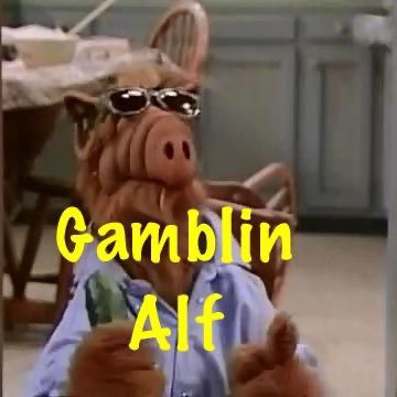 GamblinAlf Profile Picture