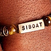 Si Boat(@siboat) 's Twitter Profile Photo