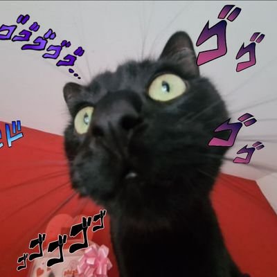 ivnbko's profile picture. Free your soul, free your mind, free yourself // (casi) Contador Público - IDEI UNTDF - Ucraniano 🇺🇦