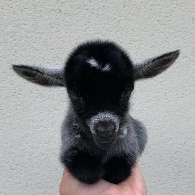 arkadasozellik's profile picture. 