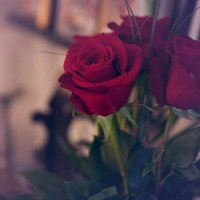 💎الوافية💎 (@alwafeia12) Twitter profile photo
