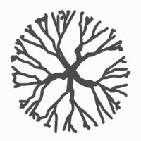 New Wood Trees(@NewWoodTrees) 's Twitter Profile Photo