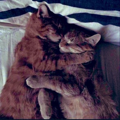 -في الأحلام والحب لا يوجد مستحيلات♥️☕️. In dreams and in love there are on impssibilties
