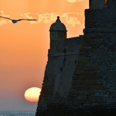 Furiko_ChqR's profile picture. 