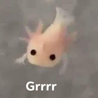 Ellienevaeh7's profile picture. She/her
Lana Del Rey ⬅️⬅️ you