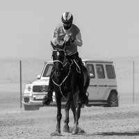 أحمد الكلباني #عمان (@alkalbani9999) Twitter profile photo