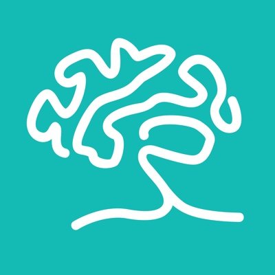 Branch Out is accelerating neuroscience for brains at their best! We're a non-profit funding non-pharma & tech solutions to over 600 neurological conditions.