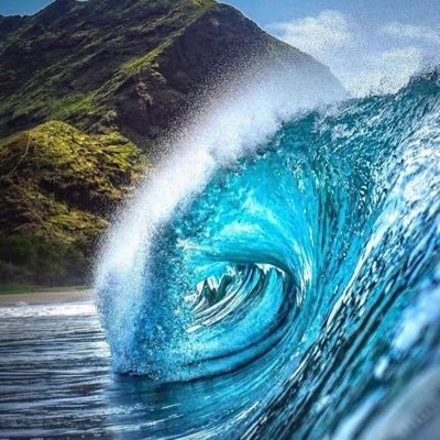 TigerGurl68's profile picture. Tell it like it is