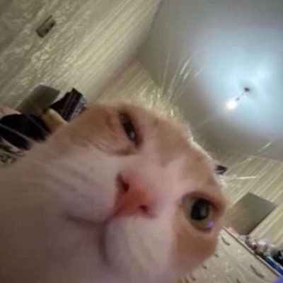 oKluskio's profile picture. she/her  20