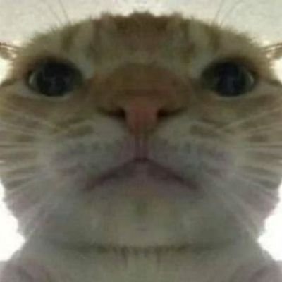 BaguetteEsports's profile picture. baguettes esports on top.